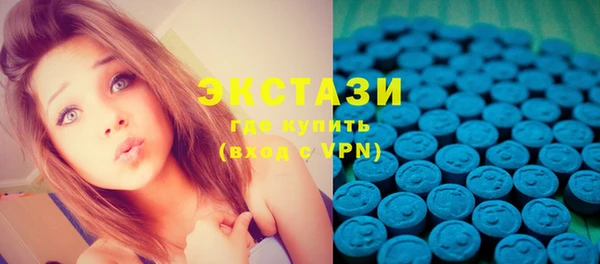 ECSTASY Богородицк