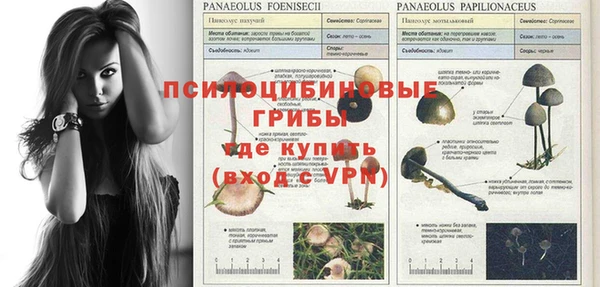 прущая мука Нефтекумск
