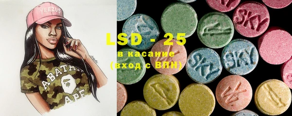 ECSTASY Богородицк