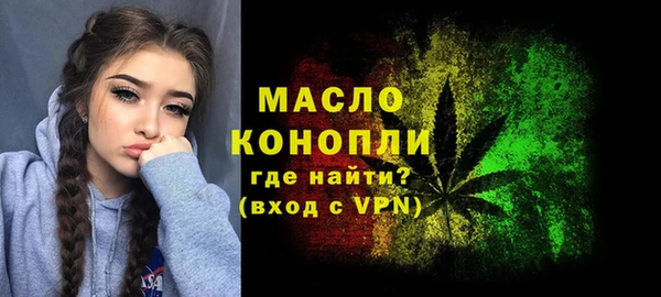 ECSTASY Богородицк