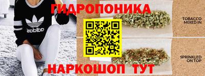 крисы Гусиноозёрск