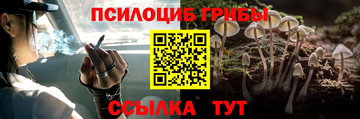 Галлюциногенные грибы мицелий  Псилоцибиновые грибы ЛСД  Избербаш  Вход с VPN 